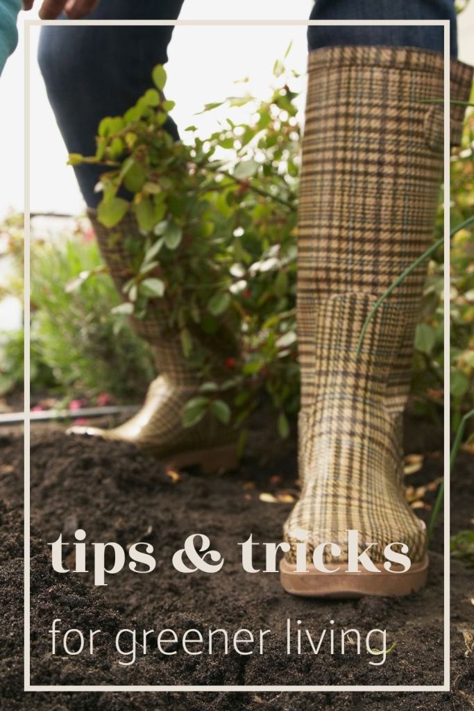Easy steps to a sustainable lifestyle