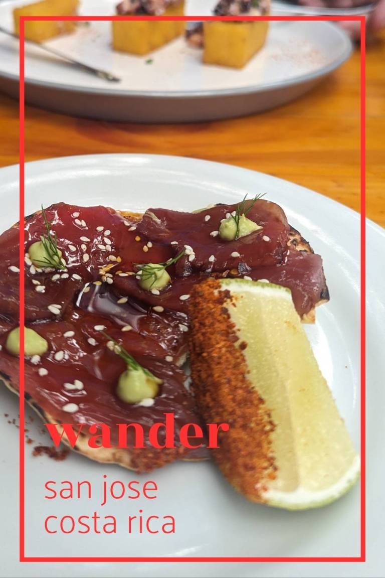 San Jose Costa Rica banner image