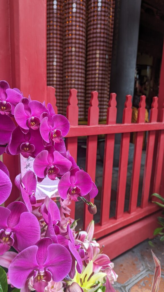 overoming jet lag in taipei. photo of temple orchids