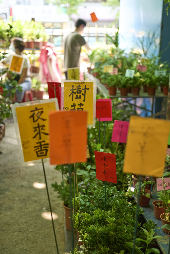 taipei first-timer guide, photo shows flower market